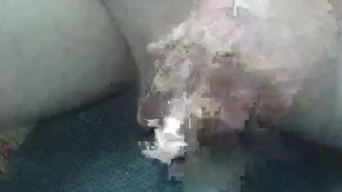 Snapshot of cocktoys chatting on 02/02/26, 05:50 cocktoys online show from 02/02/26, 05:50