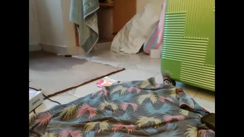 coco vixen9 online show from 11/29/25, 09:12