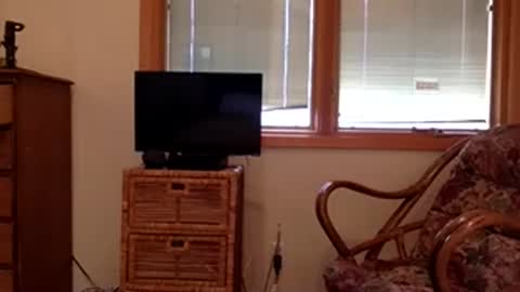 Code By Nova online show from 11/08/25, 07:56