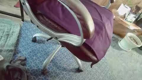 cody81421 online show from 01/12/26, 02:22