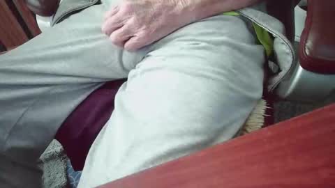 cody81421 online show from 01/15/26, 09:18