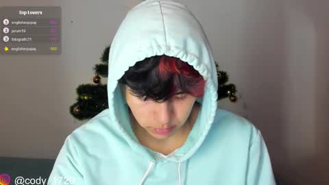 Snapshot of cody_evanss chatting on 12/17/24, 05:26 cody online show from 12/17/24, 05:26