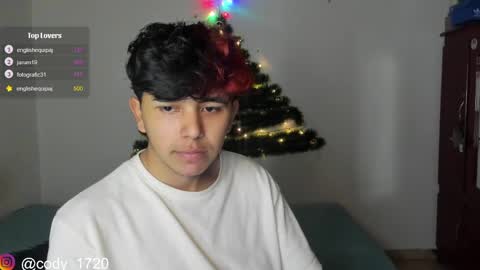 Snapshot of cody_evanss chatting on 12/28/24, 01:17 cody online show from 12/28/24, 01:17