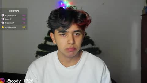 Snapshot of cody_evanss chatting on 12/31/24, 06:24 cody online show from 12/31/24, 06:24