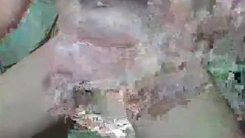 Snapshot of cogela_sin_miedo chatting on 10/20/25, 11:27 cogela_sin_miedo online show from 10/20/25, 11:27