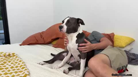 colbyknox online show from 11/04/25, 10:53