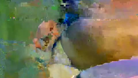 colourlight online show from 11/09/25, 11:47