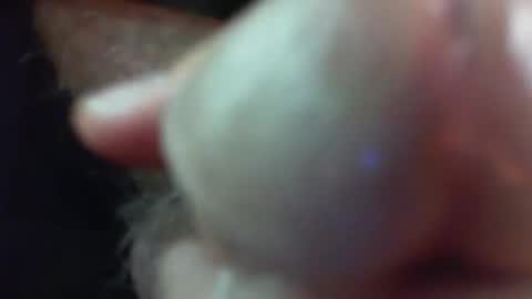 Snapshot of comox1961 chatting on 11/29/25, 05:21 comox online show from 11/29/25, 05:21