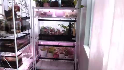 Snapshot of constantcumquest chatting on 11/14/25, 03:44 ANR Mommy online show from 11/14/25, 03:44