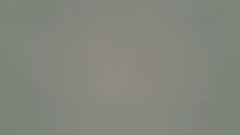 ANR Mommy online show from 02/01/26, 05:11