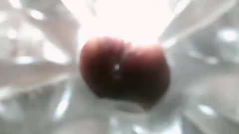 bearded hairy pits big brown cock online show from 12/07/24, 10:17