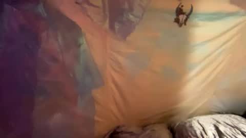 Snapshot of coochiechakrahealer chatting on 12/30/24, 09:48 coochiechakrahealer online show from 12/30/24, 09:48