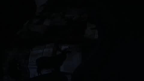 Snapshot of cooley77701 chatting on 02/05/26, 10:42 cooley77701 online show from 02/05/26, 10:42