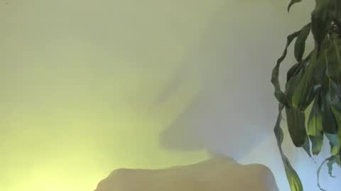 Coral princex online show from 02/20/26, 06:26