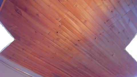 Coraline online show from 01/25/25, 12:27