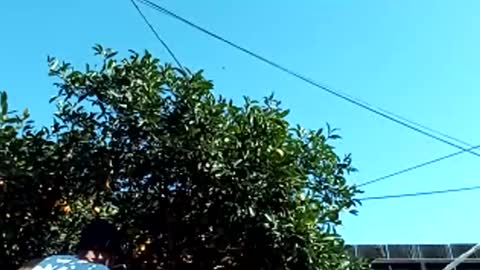 Snapshot of corpusrichard78 chatting on 03/03/25, 06:55 corpusrichard78 online show from 03/03/25, 06:55