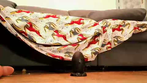 Snapshot of cossy69 chatting on 09/26/25, 04:33 Andy sissy room online show from 09/26/25, 04:33