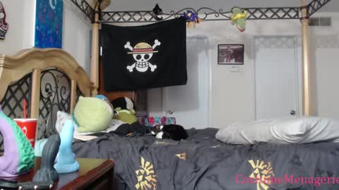 Amethyst Cox online show from 01/17/25, 12:20