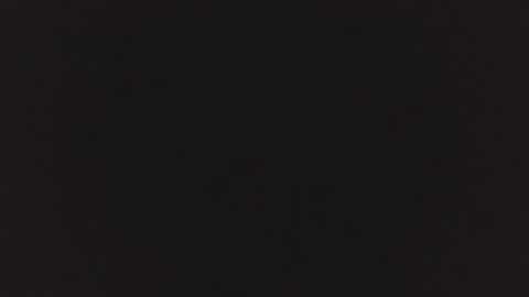 Snapshot of cottontailsnowbunny chatting on 06/02/26, 08:55 Cottontail Snowbunny online show from 06/02/26, 08:55