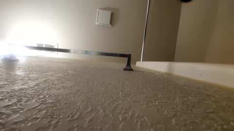 countdownsub online show from 01/12/25, 10:34