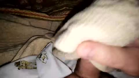 countdownsub online show from 03/08/26, 04:44