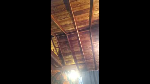 country_man61 online show from 06/08/26, 12:14