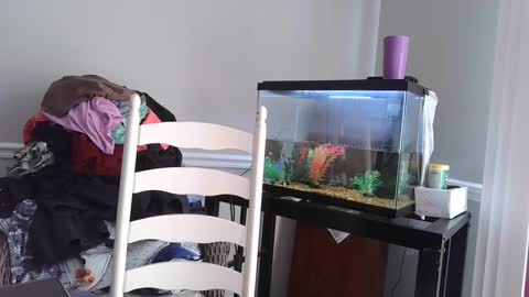 Snapshot of countrylovin2018 chatting on 03/04/25, 05:56 Fallen Angel 21 online show from 03/04/25, 05:56