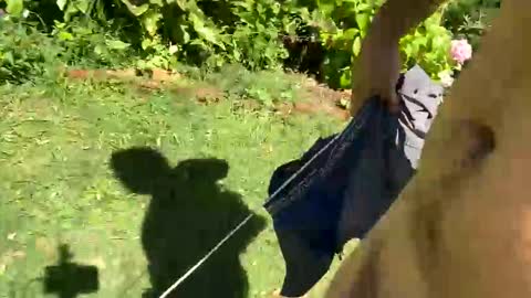 Snapshot of countrymilk chatting on 01/06/25, 02:25 Countrydilf online show from 01/06/25, 02:25