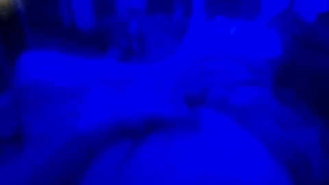 Countrystudd online show from 12/23/25, 08:12