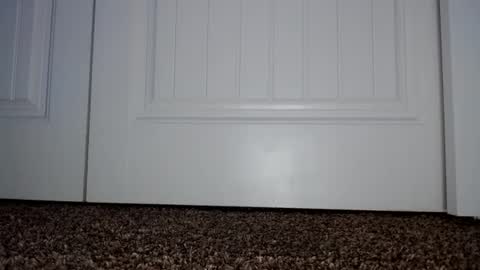 Couple049 online show from 01/02/25, 07:29