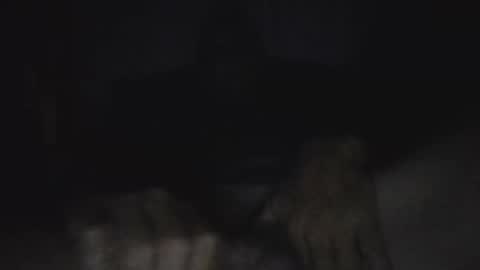                 online show from 06/05/26, 12:33