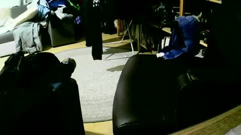 Snapshot of coyote017 chatting on 01/27/25, 06:09 coyote017 online show from 01/27/25, 06:09