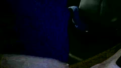 Snapshot of coyote017 chatting on 01/31/25, 11:13 coyote017 online show from 01/31/25, 11:13