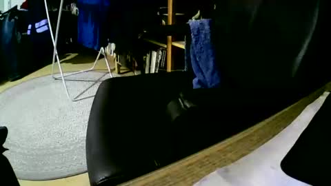 Snapshot of coyote017 chatting on 02/01/25, 06:00 coyote017 online show from 02/01/25, 06:00