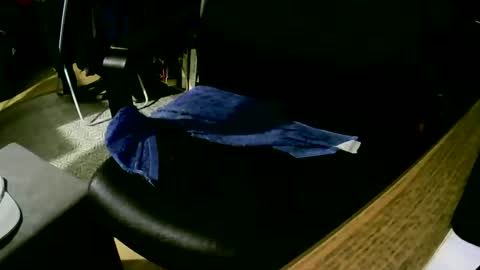 Snapshot of coyote017 chatting on 02/09/25, 04:18 coyote017 online show from 02/09/25, 04:18