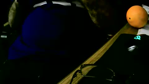 Snapshot of coyote017 chatting on 02/19/25, 07:59 coyote017 online show from 02/19/25, 07:59