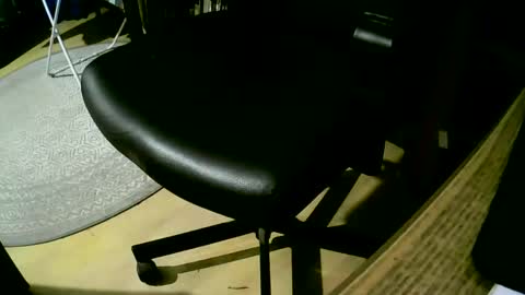 Snapshot of coyote017 chatting on 02/25/25, 07:14 coyote017 online show from 02/25/25, 07:14