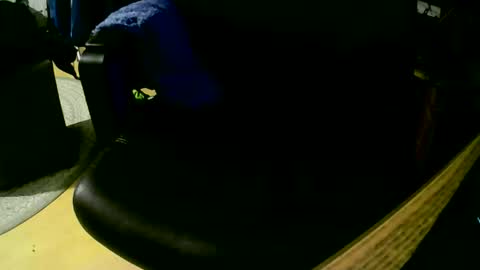 Snapshot of coyote017 chatting on 11/01/25, 07:49 coyote017 online show from 11/01/25, 07:49