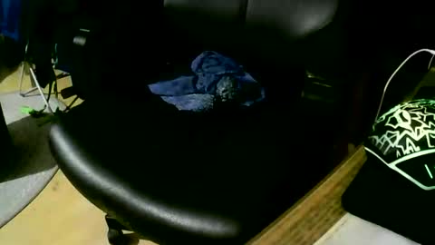 Snapshot of coyote017 chatting on 11/17/25, 09:31 coyote017 online show from 11/17/25, 09:31