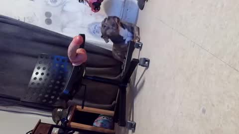 Snapshot of crazy4feetmanic chatting on 10/29/25, 06:15 drbucknaked online show from 10/29/25, 06:15