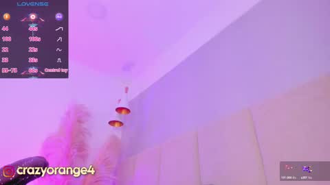 Snapshot of crazyorange4 chatting on 02/14/25, 02:12 You can ask online show from 02/14/25, 02:12