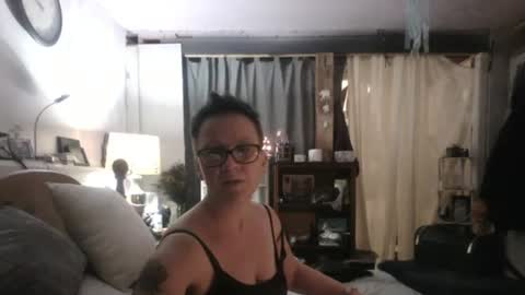 Snapshot of crimsonrose444 chatting on 12/02/24, 04:53 Tulip online show from 12/02/24, 04:53
