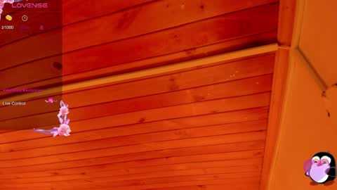 Cristal online show from 04/05/26, 04:42