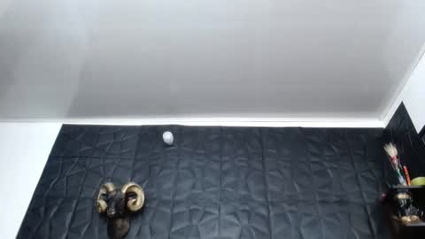 Hanna  online show from 02/26/26, 10:25