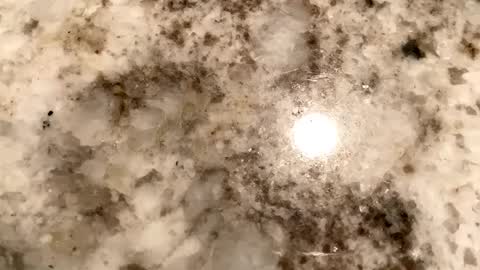 Crushit online show from 02/06/25, 07:13