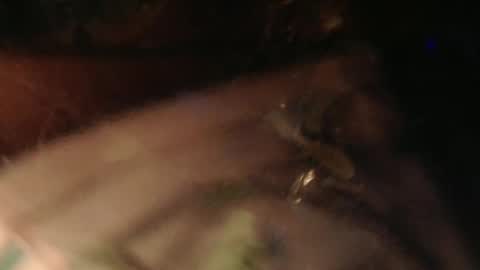 cryan96 online show from 02/02/25, 06:31