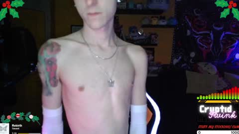 Snapshot of cryptidtwink chatting on 12/24/24, 04:55 CryptidTwink online show from 12/24/24, 04:55