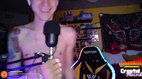 CryptidTwink online show from 04/10/26, 06:18