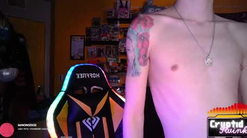 CryptidTwink online show from 04/20/26, 06:05