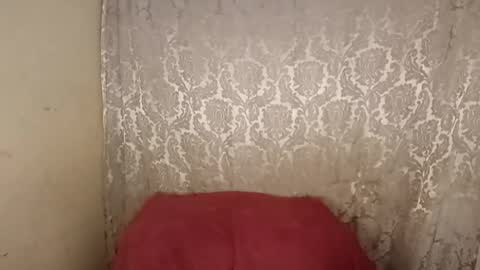 carol     online show from 04/06/26, 02:31